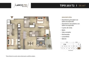 203-t2